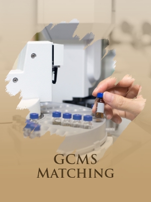 GCMS Matching
